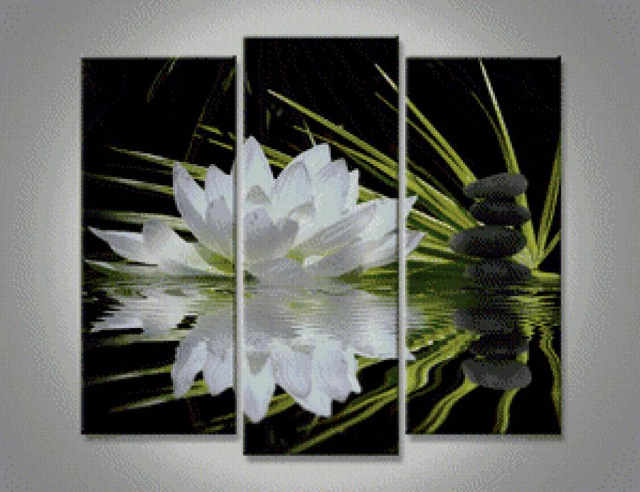 лотос - цветок природа - предпросмотр