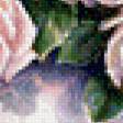 Предпросмотр схемы вышивки «розы» (№752196)