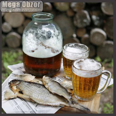 пиво - рыба, пиво - оригинал
