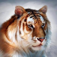 Схема вышивки «№752375»