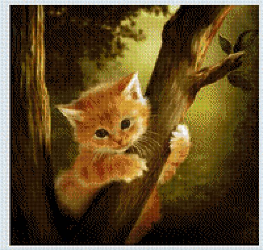 котёнок - предпросмотр