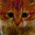 Предпросмотр схемы вышивки «рыжий котик» (№752431)