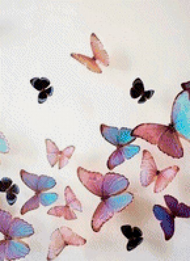 Цветные бабочки - бабочки - предпросмотр