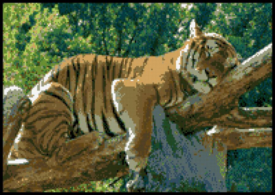 Тигр - сон, тигр - предпросмотр