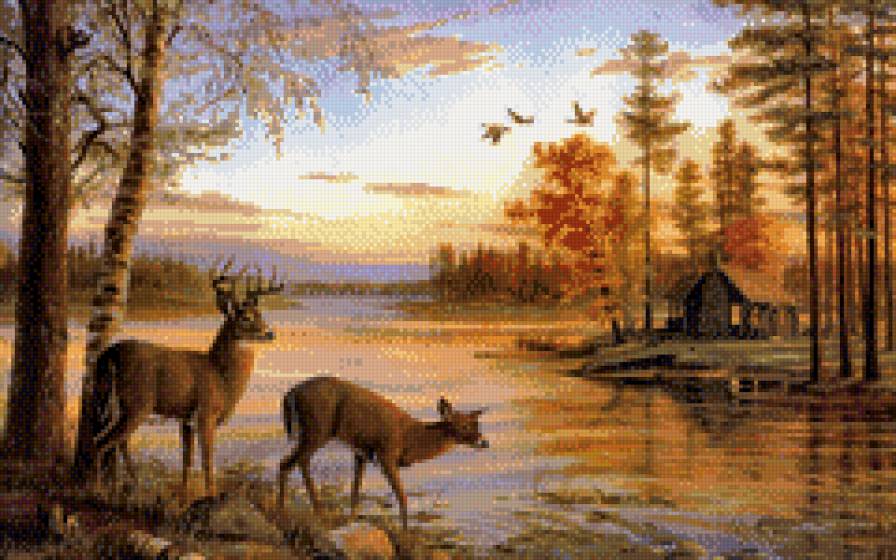 Олени у реки - природа, животные - предпросмотр