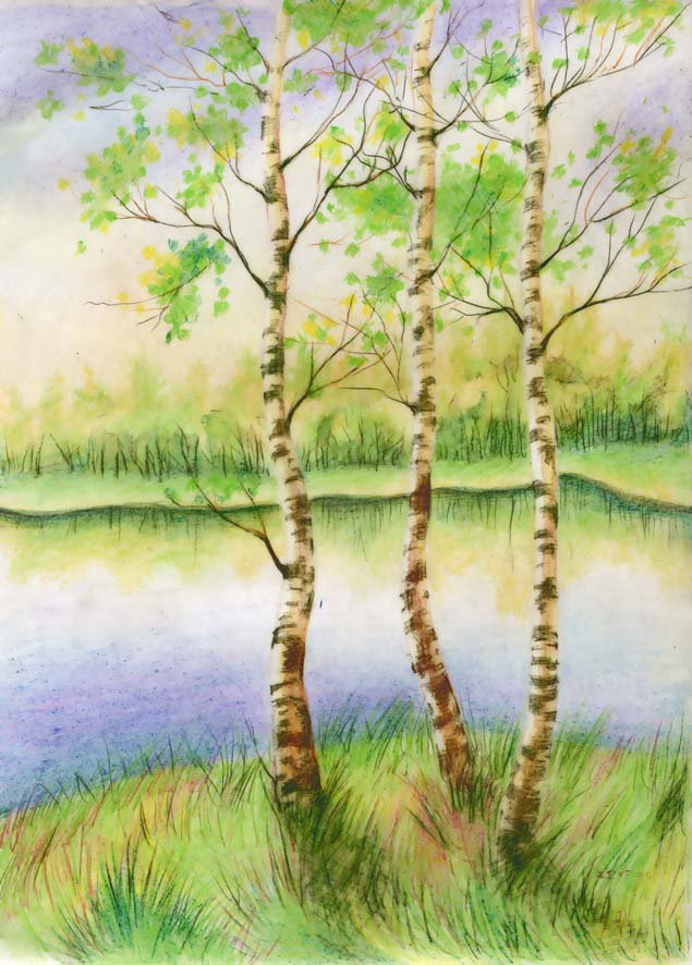 три березы - природа, пейзаж, береза, картина - оригинал