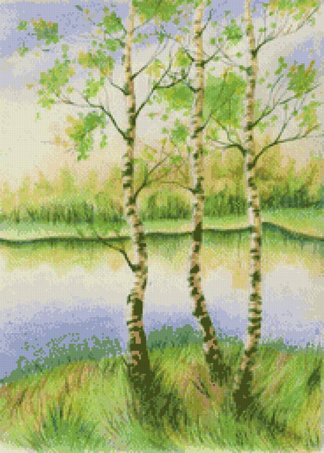 три березы - природа, пейзаж, картина, береза - предпросмотр