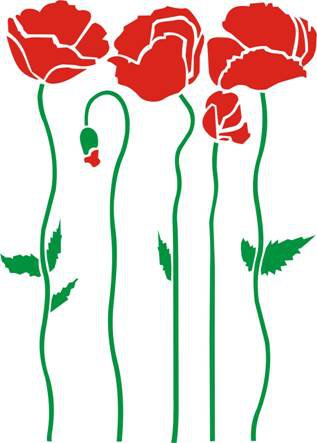 маки - букет, цветы, картинка - оригинал