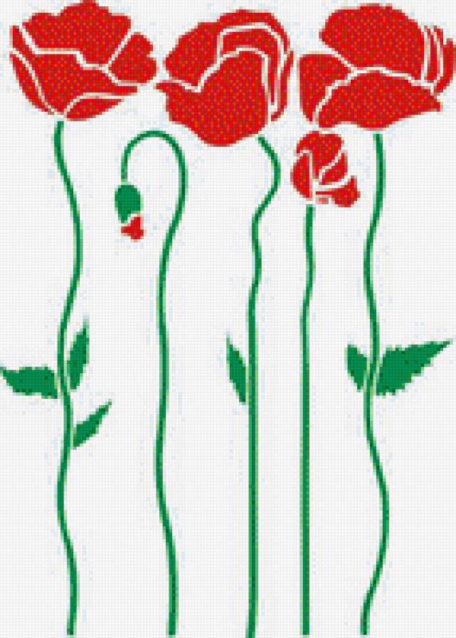 маки - букет, цветы, картинка - предпросмотр