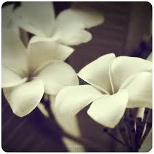 букет - картинка, букет, цветы - оригинал