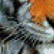 Предпросмотр схемы вышивки «Тигр» (№752896)