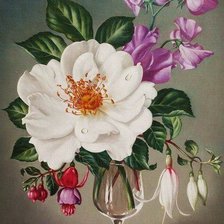 Схема вышивки «Цветы»