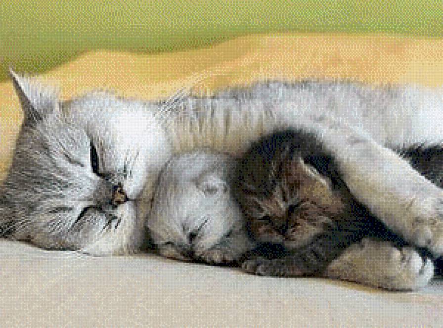 Семья - предпросмотр