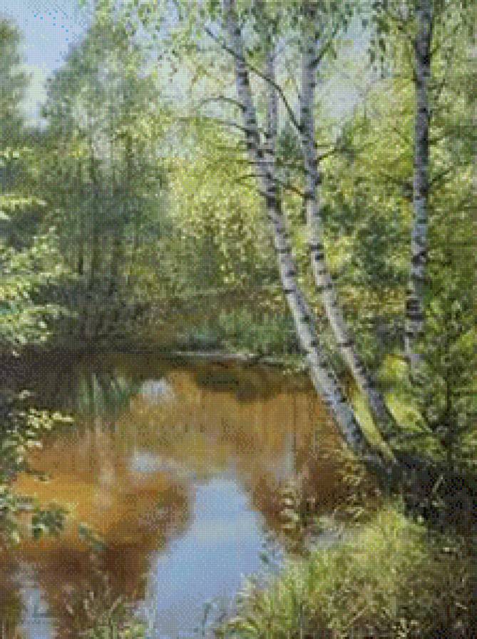 Березы - природа, лето, береза - предпросмотр