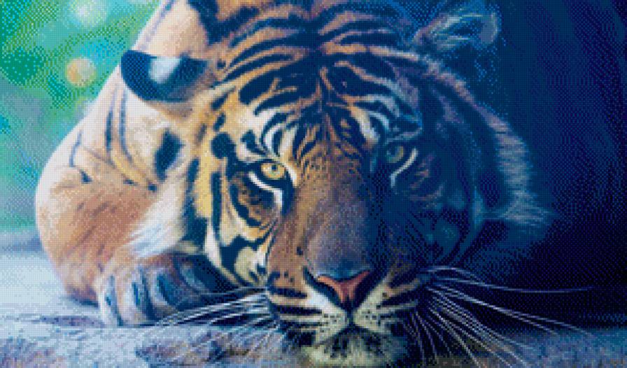 Тигр - кошки, животные - предпросмотр