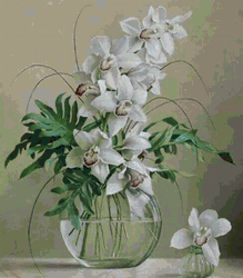 Orquideas - предпросмотр