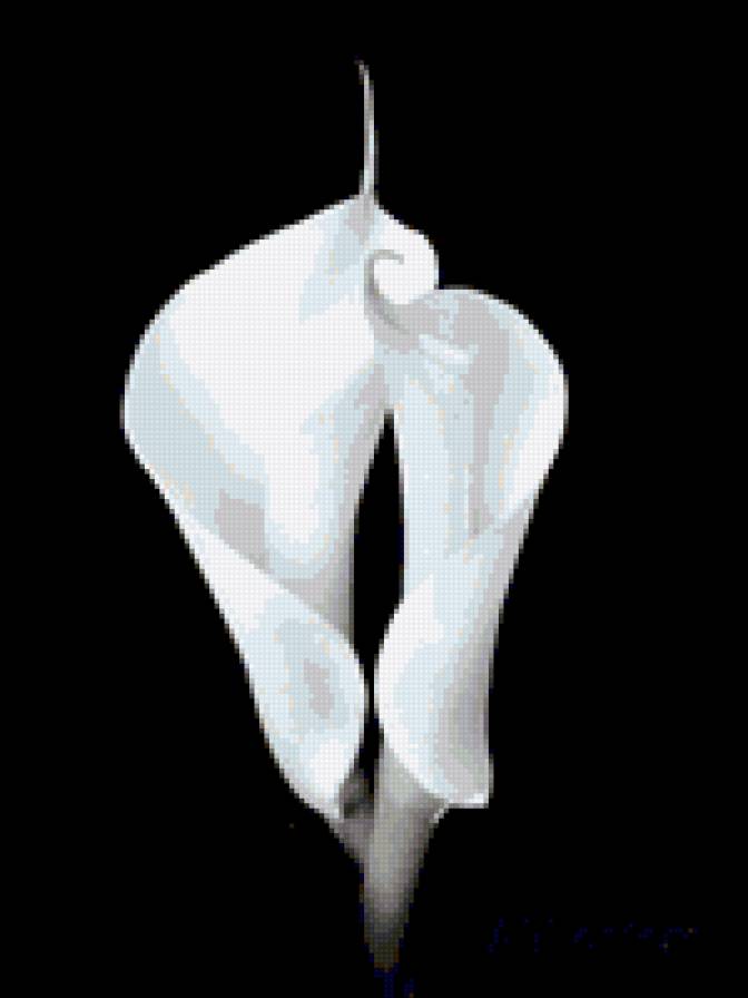 Calas - предпросмотр