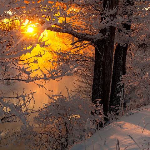 Зимний оранжевый закат - оригинал