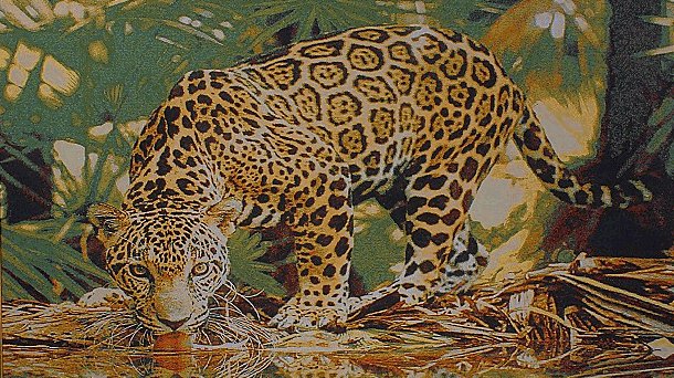 Ягуар - животные, кошки - оригинал