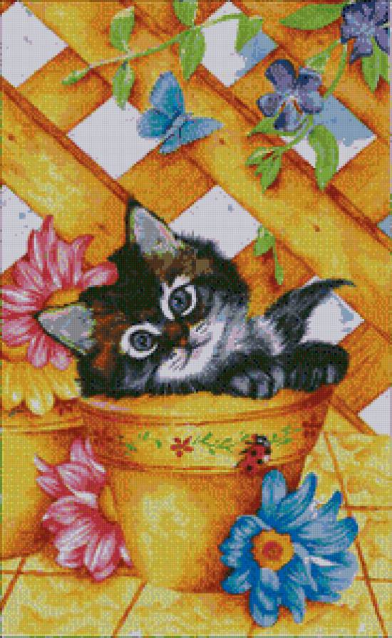 котенок - животные, кот, кошка - предпросмотр