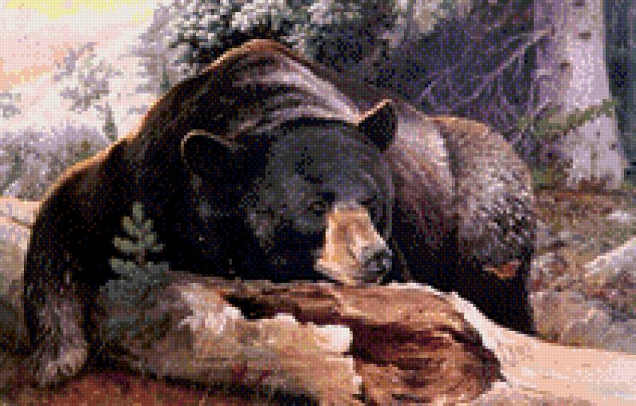 отдых - животные, медведь, природа - предпросмотр