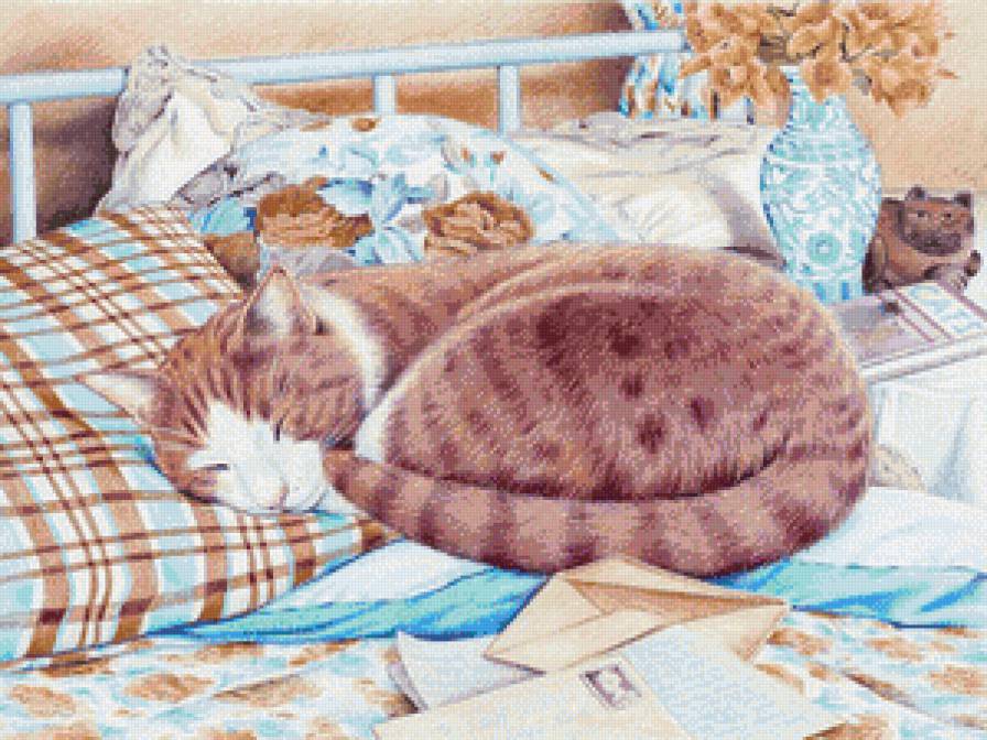 Рыжий соня - спальня, кот - предпросмотр