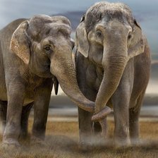 Схема вышивки «№754867»