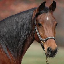 Схема вышивки «№754872»