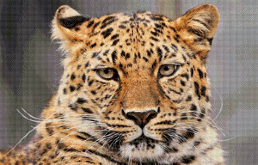 №754883 - предпросмотр