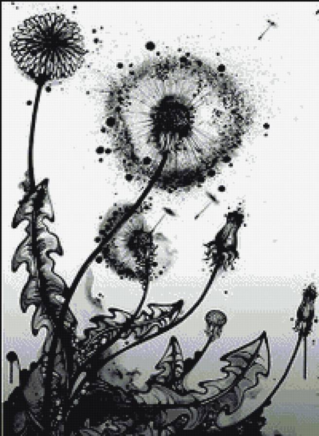 Одуваньчик - монохром - предпросмотр