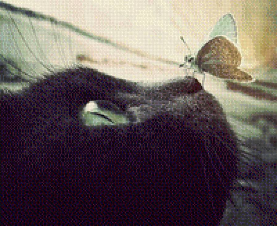 Неожиданное знакомство - животные, кошка, природа, нежность, бабочка - предпросмотр