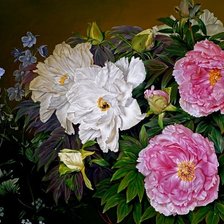 Схема вышивки «Цветы»