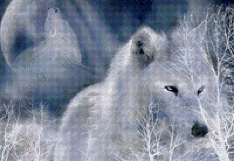 Одинокий валк - зима, волк, животные, хищник, звери - предпросмотр