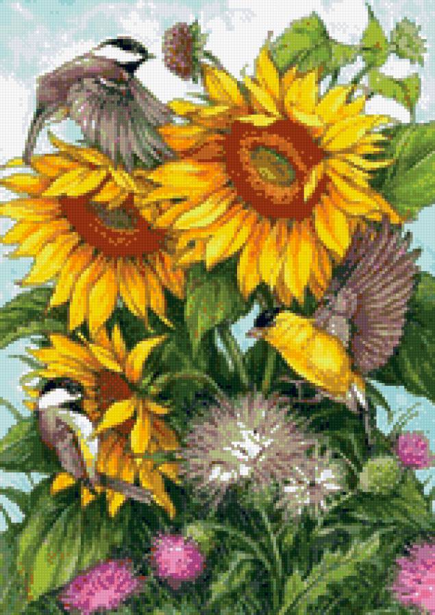 Цветы и птицы - подсолнух, птицы, цветы - предпросмотр