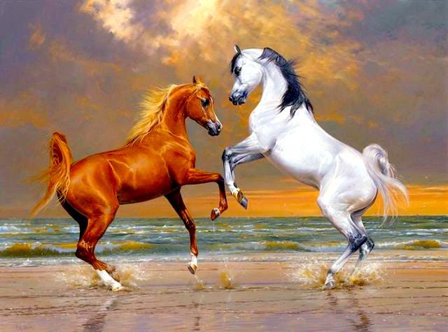 встреча у моря - животные, лошади - оригинал