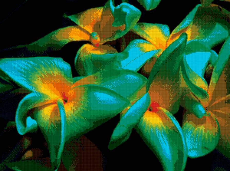 цветы - предпросмотр