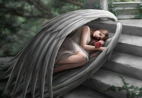 Ангел спит - сон, девушка, сказка, крылья - оригинал