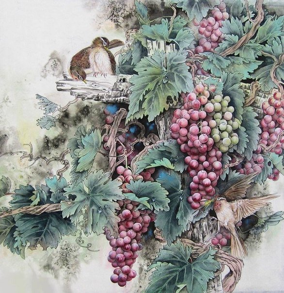 виноград - на кухню, разное, растения - оригинал