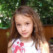 Схема вышивки «Дария»