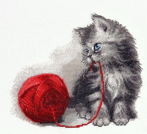 Котик - животные - оригинал