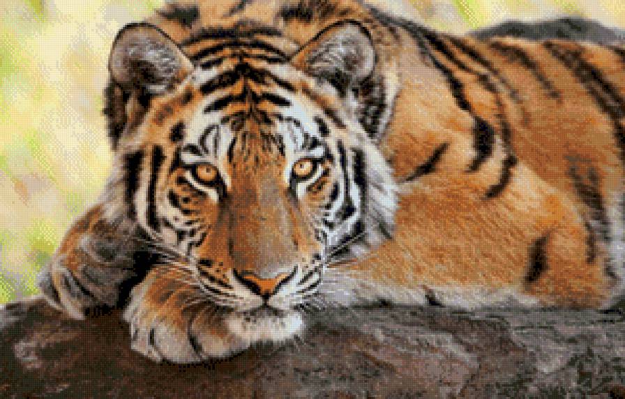 №755507 - предпросмотр