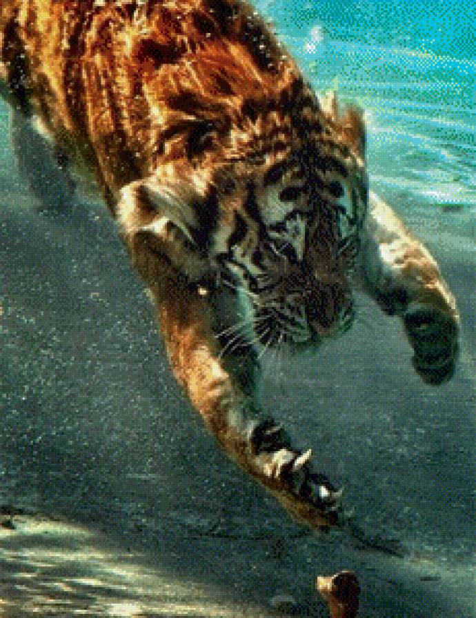 Тигра - животные, тигр - предпросмотр