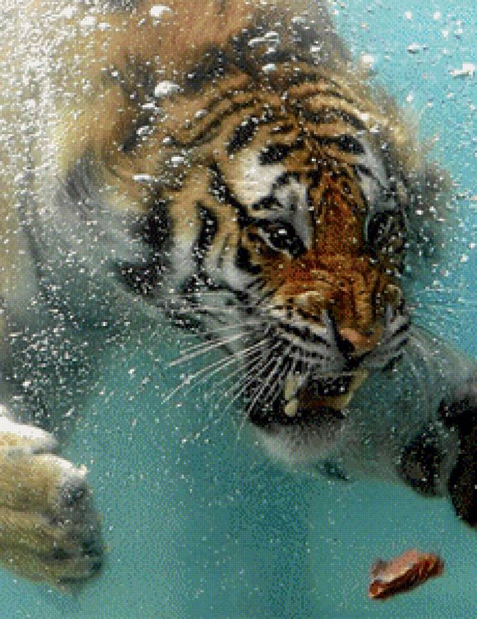 Тигра 2 - животные, тигр - предпросмотр