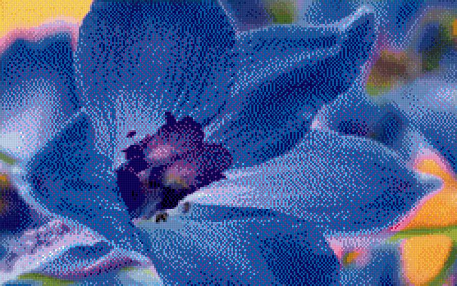 №755548 - синие цветы, природа, красота - предпросмотр