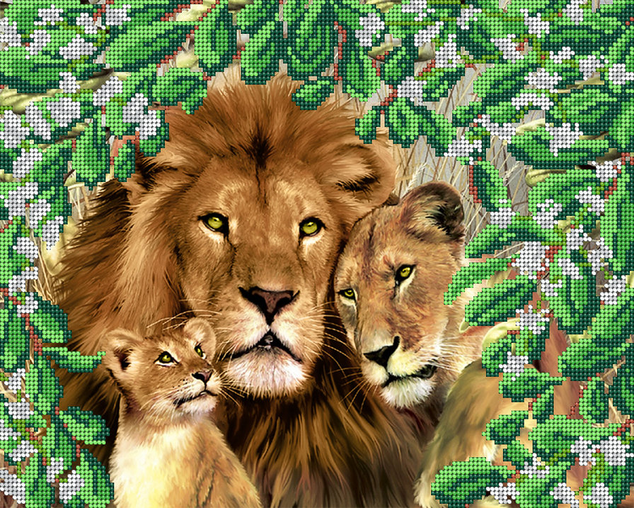 Львиное семейство - львы, животные - оригинал