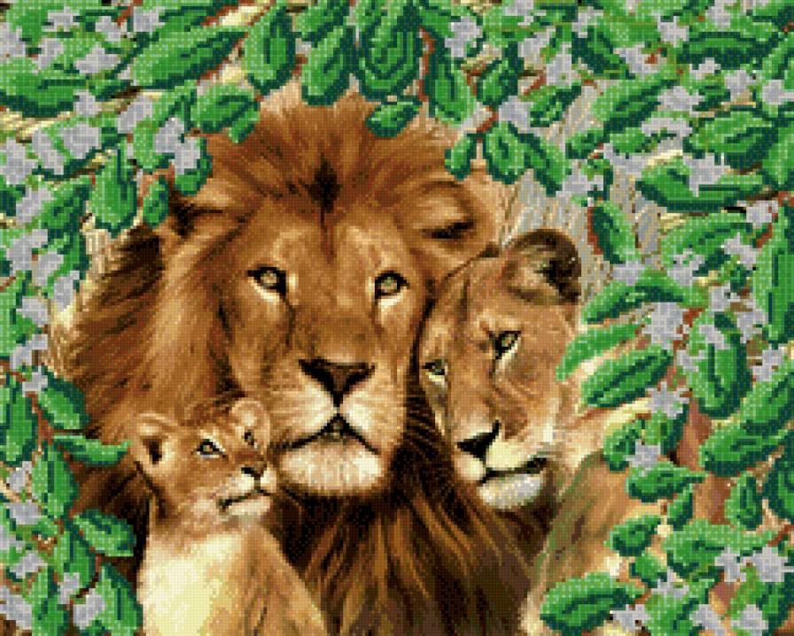 Львиное семейство - животные, львы - предпросмотр