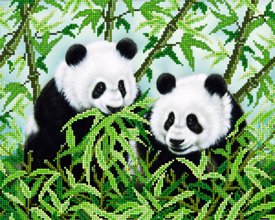 Панды - панды, животные - оригинал