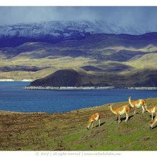 Схема вышивки «горы»