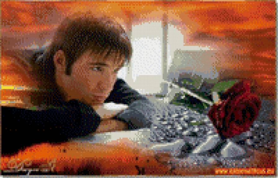 задумчивость - роза, парень, цветы - предпросмотр