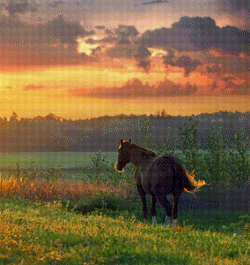 лошадь - предпросмотр
